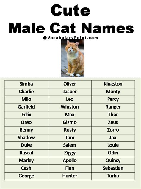 unusual cat names|cute cat names male.